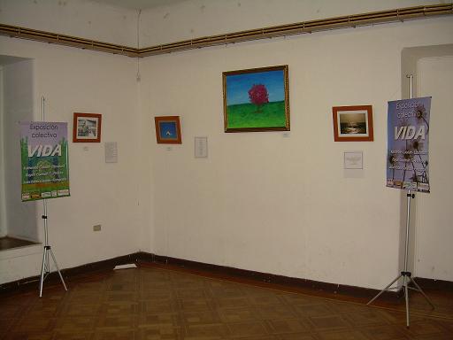Esposici&oacute;n VIDA extendida hasta el 18 de Agosto