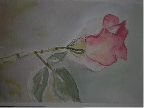 Rosa en Acuarela